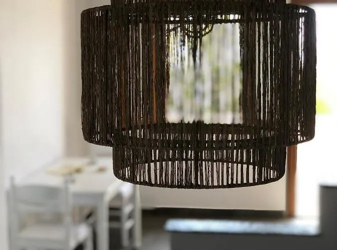 εν πλώ 4* Άγιος Ρομανός